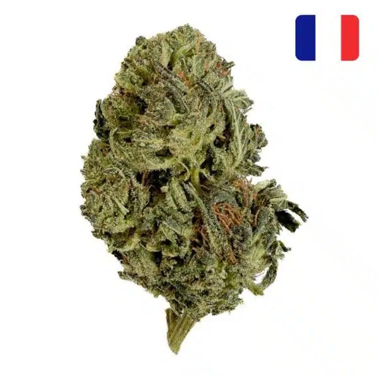 Photo de la Tangie candy