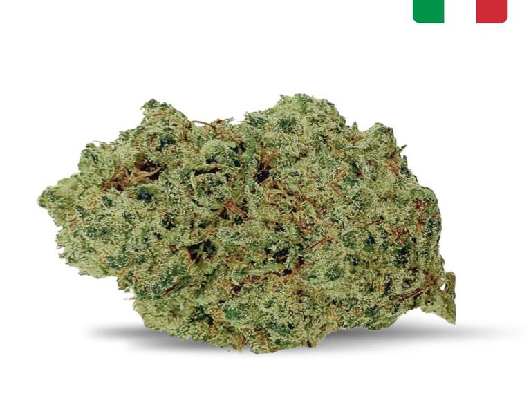 CBD Gorilla Kush — La Réserve du CBD