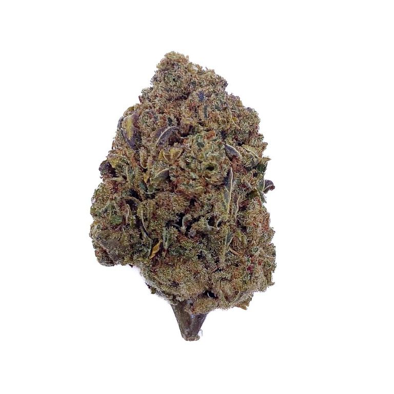 CBD premium Harlequin 30%, origine France, sélectionné à Saint-Gilles-Croix-de-Vie