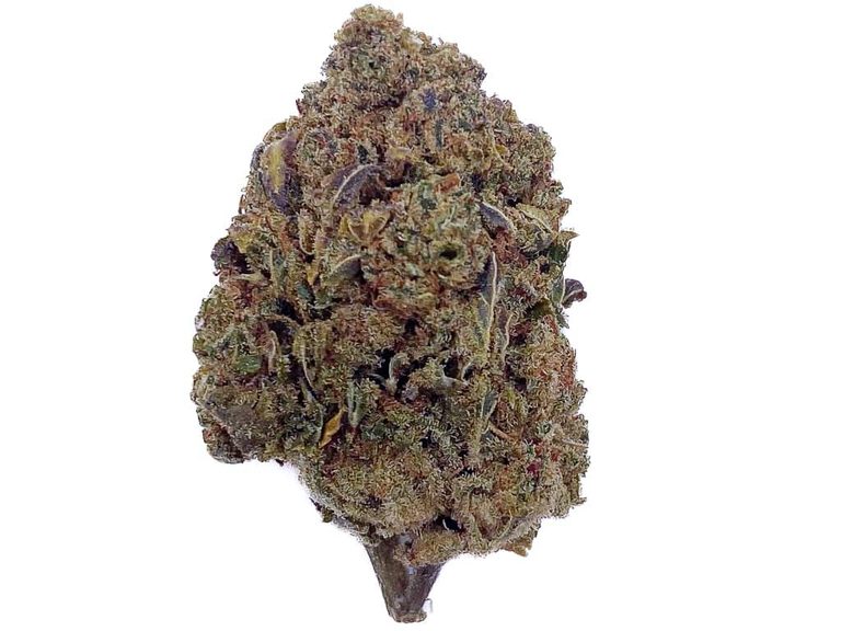 CBD Harlequin 30% — La Réserve du CBD